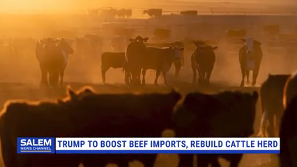 Trump Signing Orders To Boost Beef Imports, Rebuild Cattle Herd