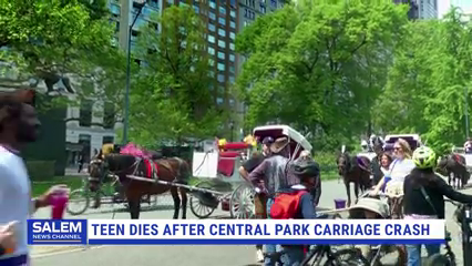 Teen Dies After Being Thrown From Runaway Horse-Drawn Carriage In Central Park