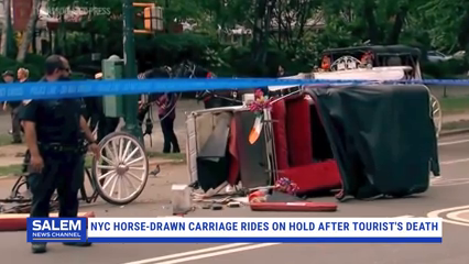 Horse-Drawn Carriage Rides On Hold After Teen Tourist's Death In NYC
