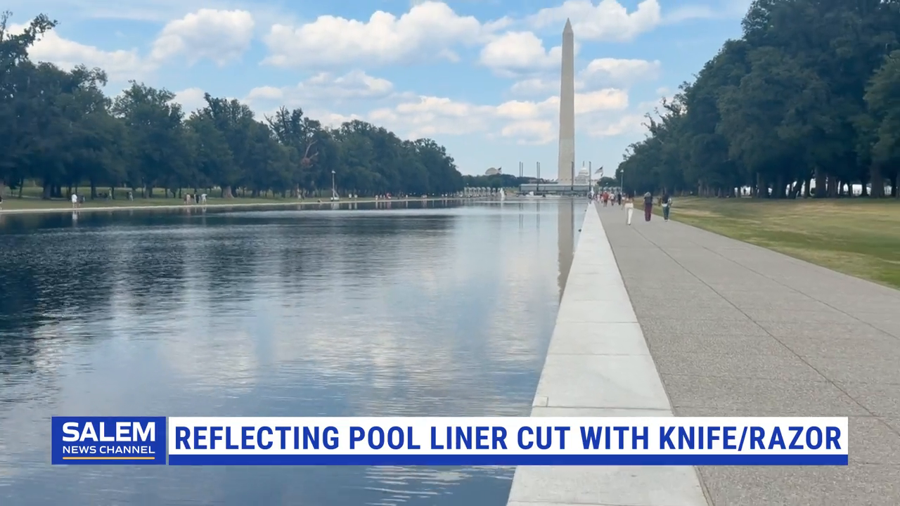 Reflecting Pool Now Under Surveillance