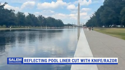 Reflecting Pool Now Under Surveillance