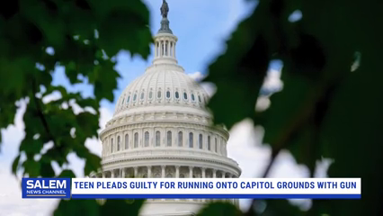 Georgia Teen Pleads Guilty To Gun Charge For Running Onto Capitol Grounds With Loaded Shotgun