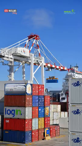 GTA_20260203_reel_US_TARIFFS.mp4