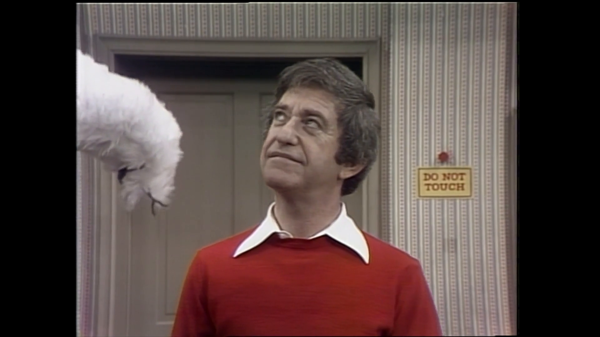 History, Word Play, Puppet Theatre