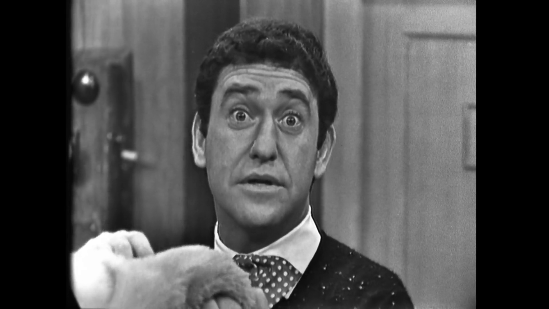 Doggy Dandruff, Word Play, Sports Digest