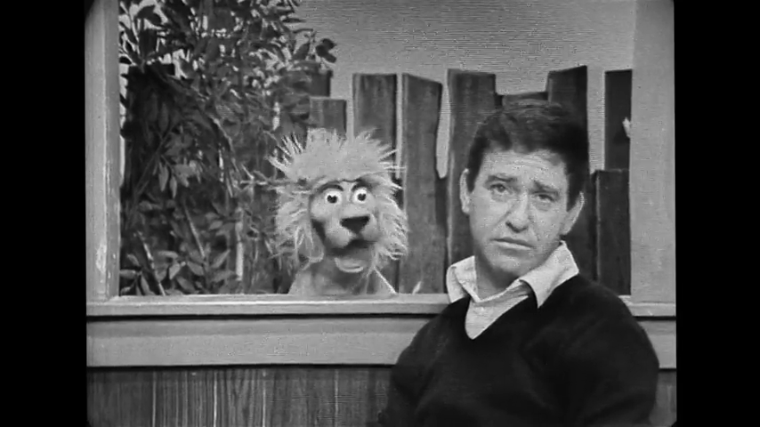 The Weather, Puppets