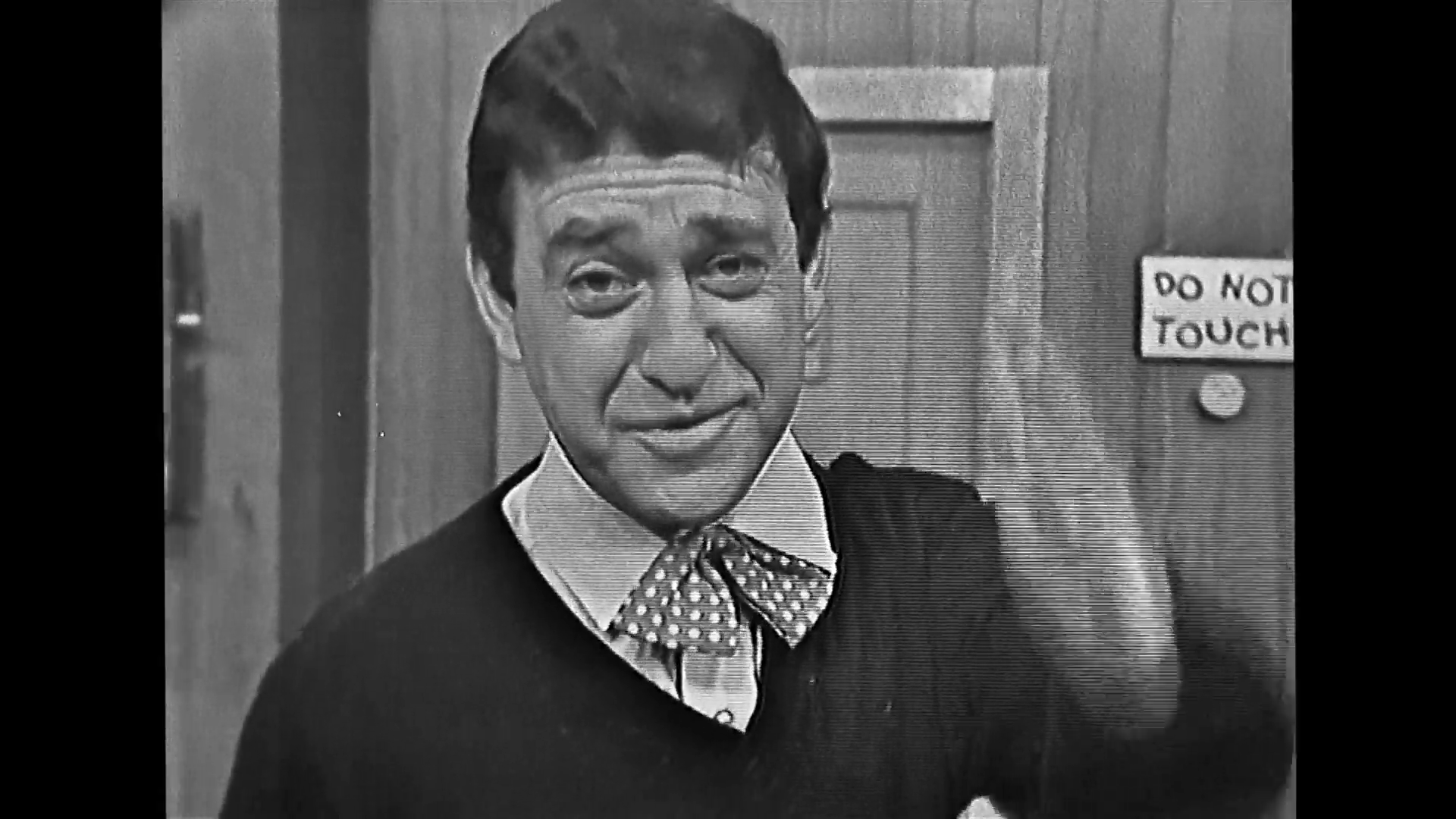 Birthdays, The Weather, Puppet Lions