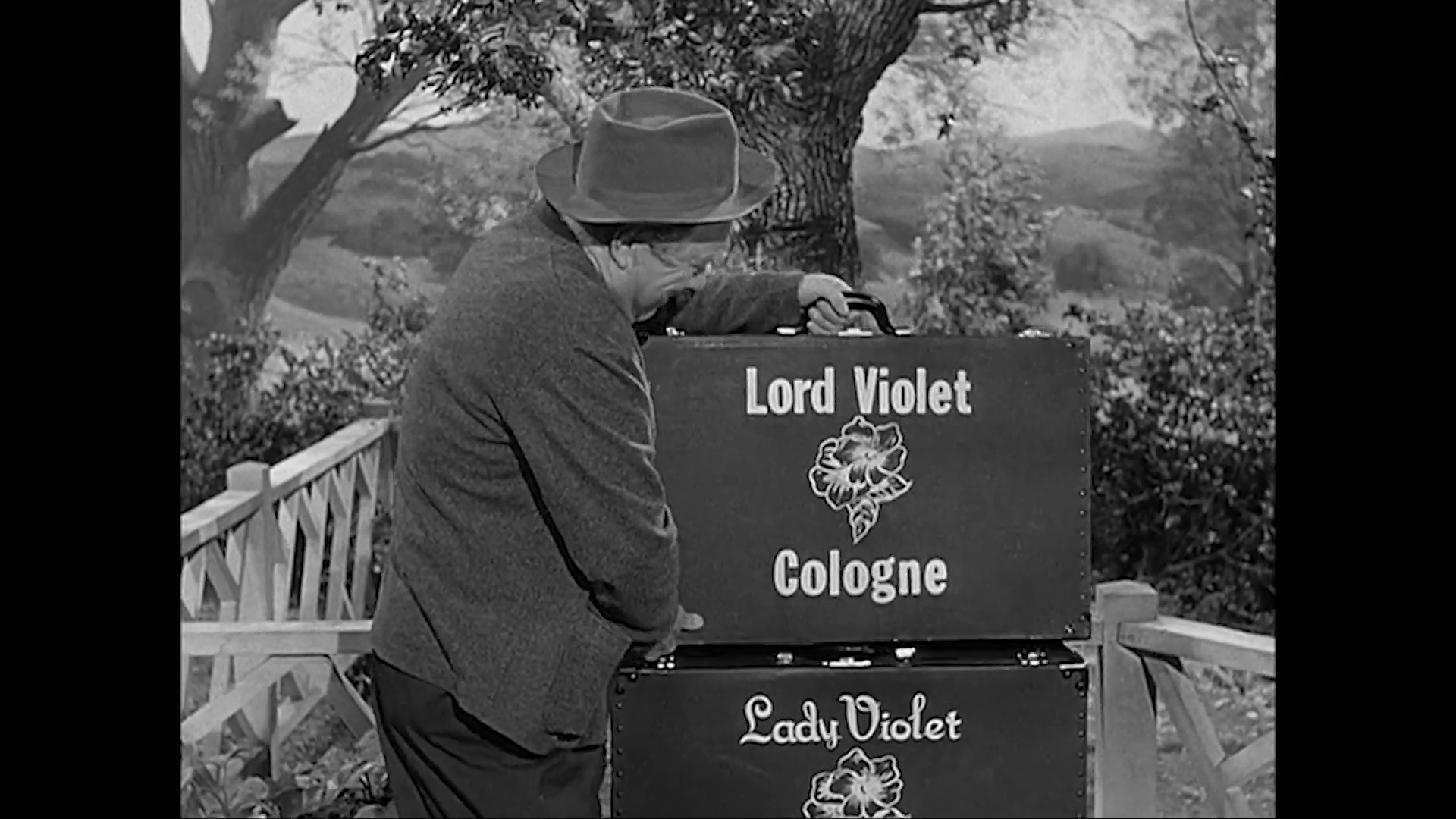 Please Buy My Violets